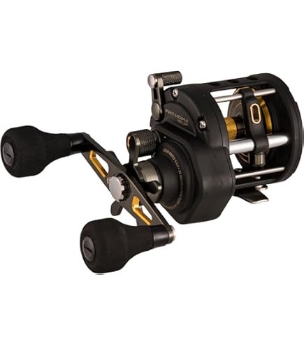 PENN FTHII25NLD Fathom II Lever Drag 25, Offshore Reels - Amazon